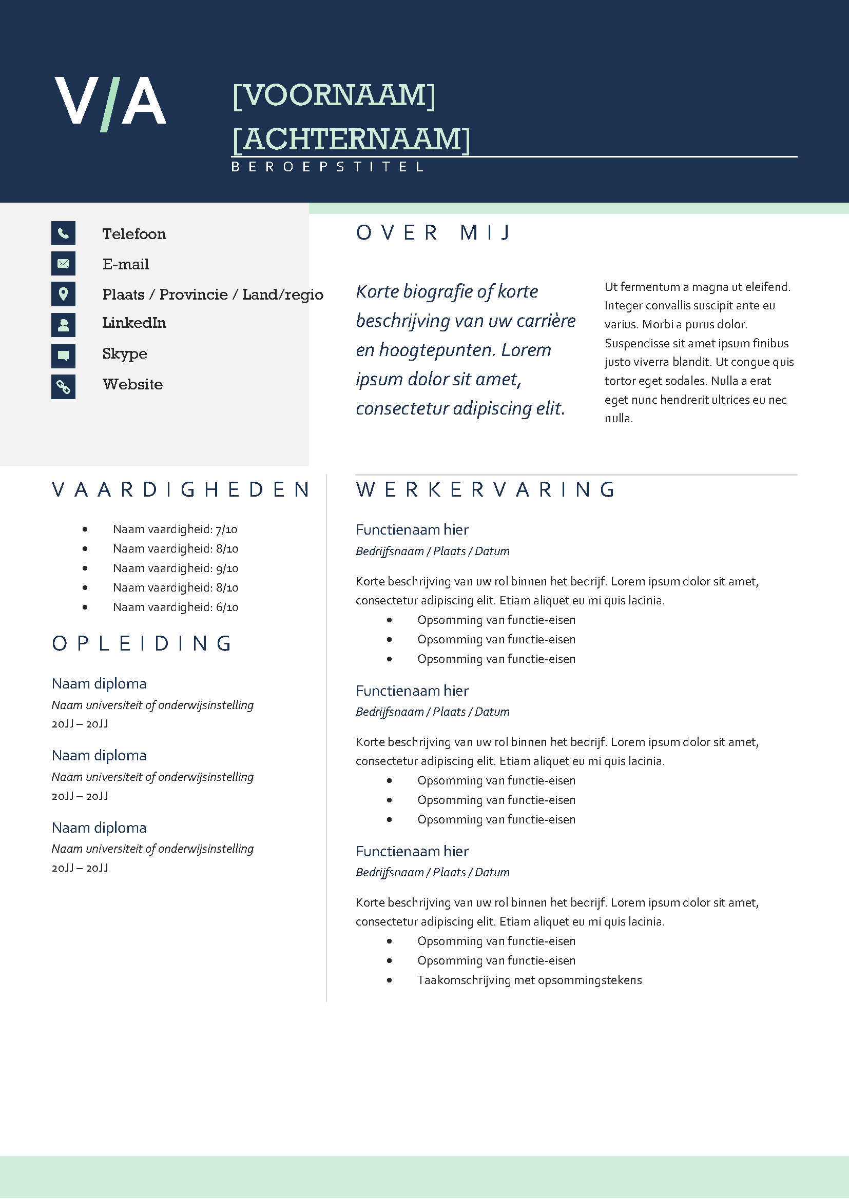 Modern CV Template Voorbeeld